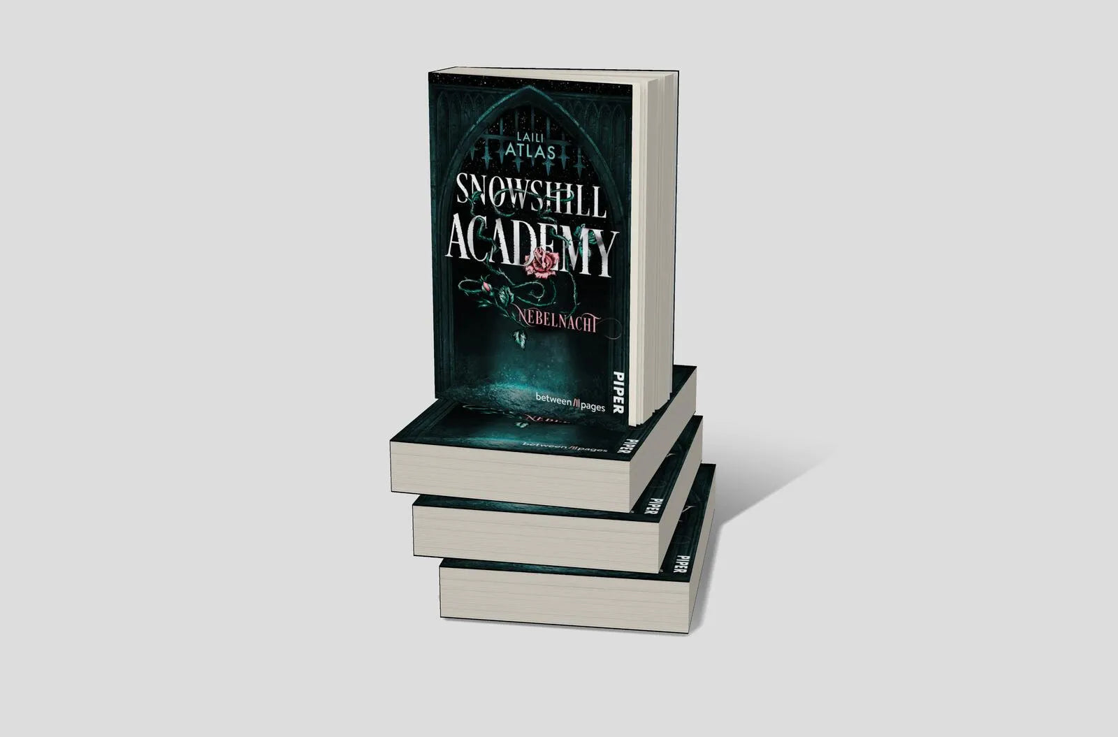 Produktansicht: Snowshill Academy – Nebelnacht (Taschenbuch)