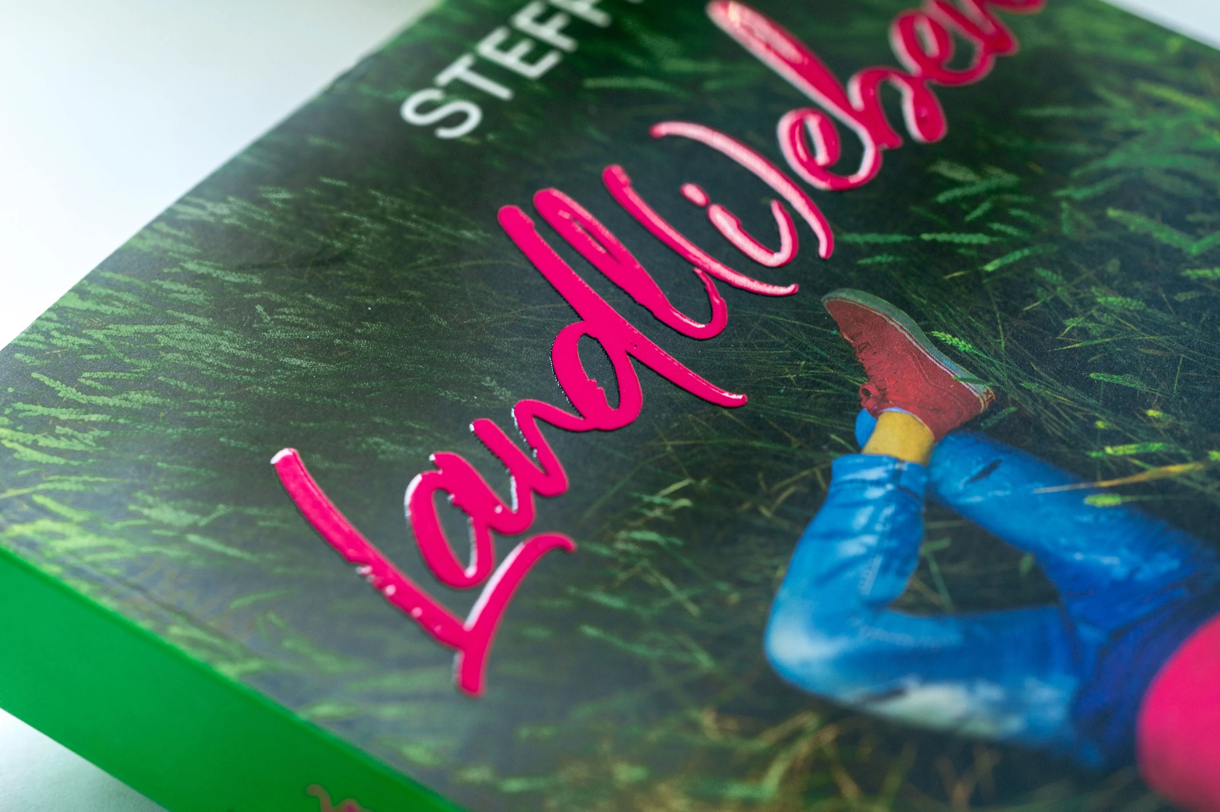 Detailansicht: Landl (Paperback)