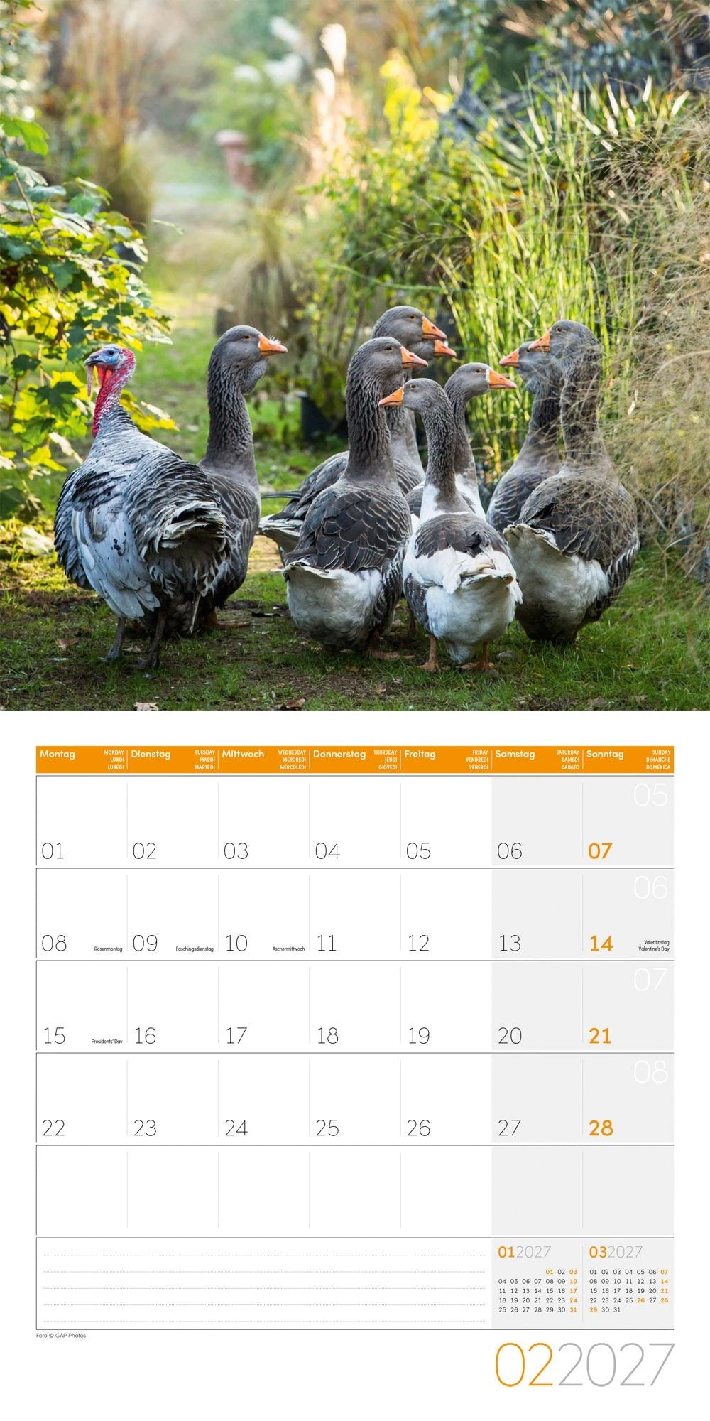 Landleben Kalender 2027 - 30x30 - Art12 – Ansicht