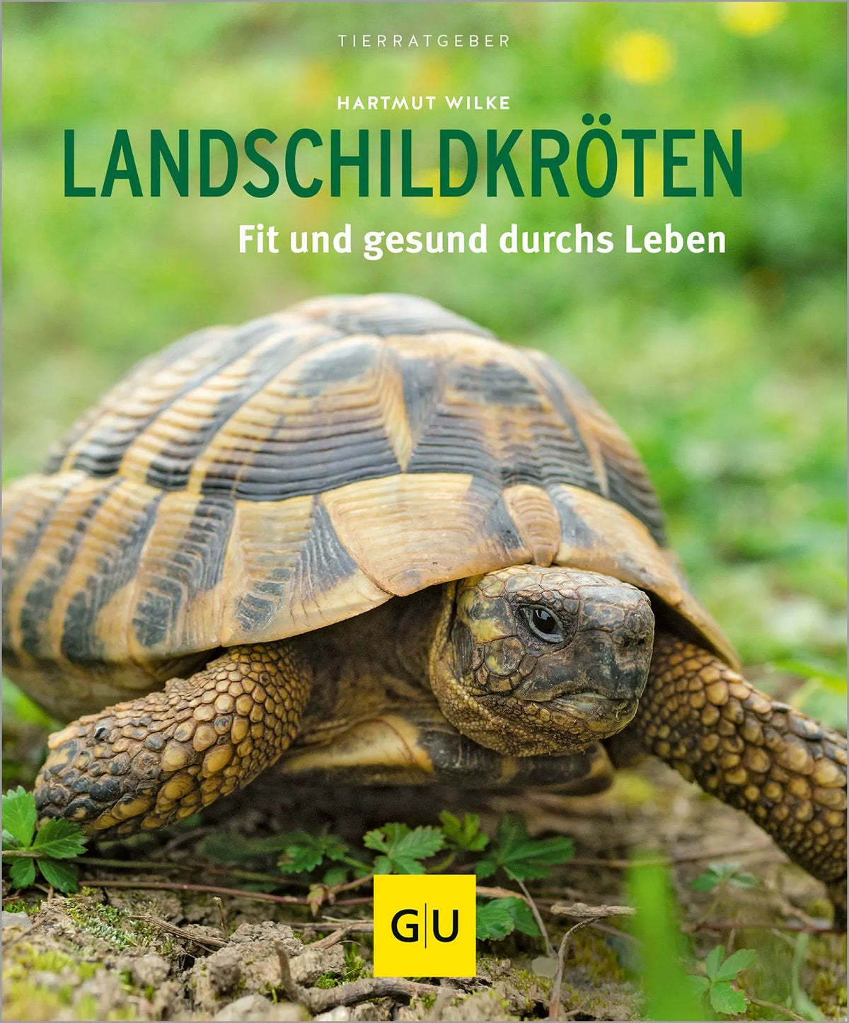 Cover: Landschildkröten (Paperback) von Hartmut Wilke
