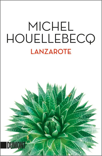 Buchcover von 'Lanzarote' - Taschenbuch von Michel Houellebecq
