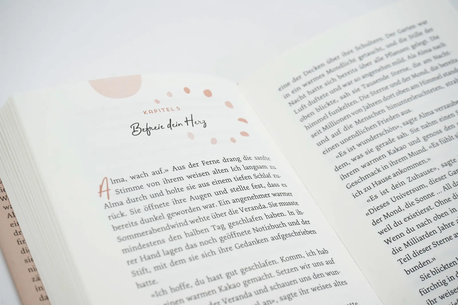 Produktansicht: Zurück zu mir (Gebundene Ausgabe)