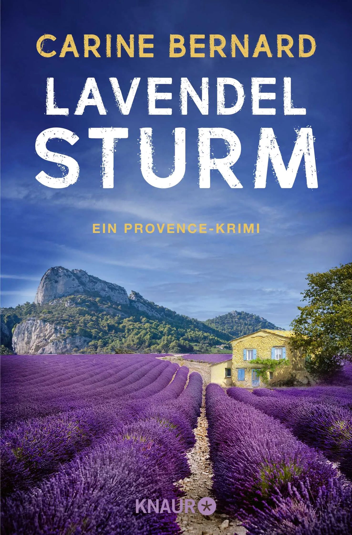 Buchcover von 'Lavendel-Sturm' - Taschenbuch von Carine Bernard