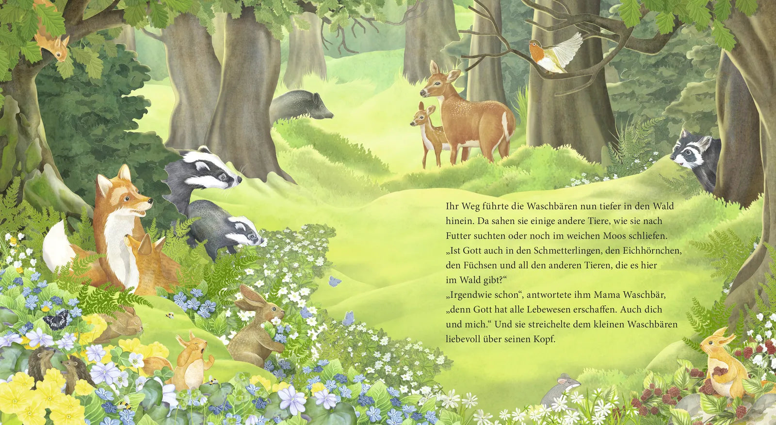 Produktansicht: Der kleine Waschbär fragt nach Gott – ein Bilderbuch für Kinder ab 2 Jahren (Gebundene Ausgabe)