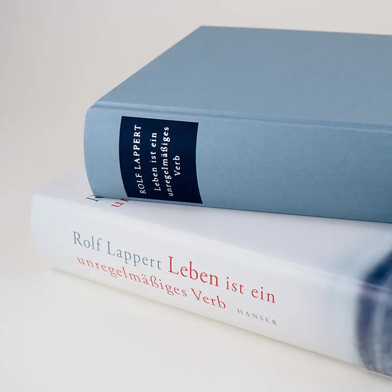 Abbildung von 'Leben ist ein unregelmäßiges Verb'