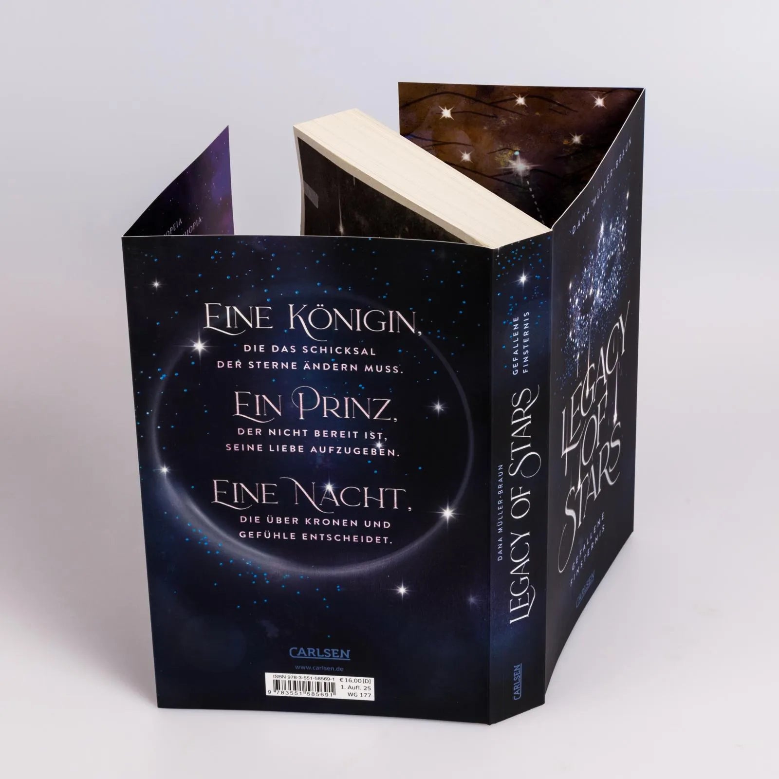 Produktansicht: Legacy of Stars 2: Gefallene Finsternis (Paperback)