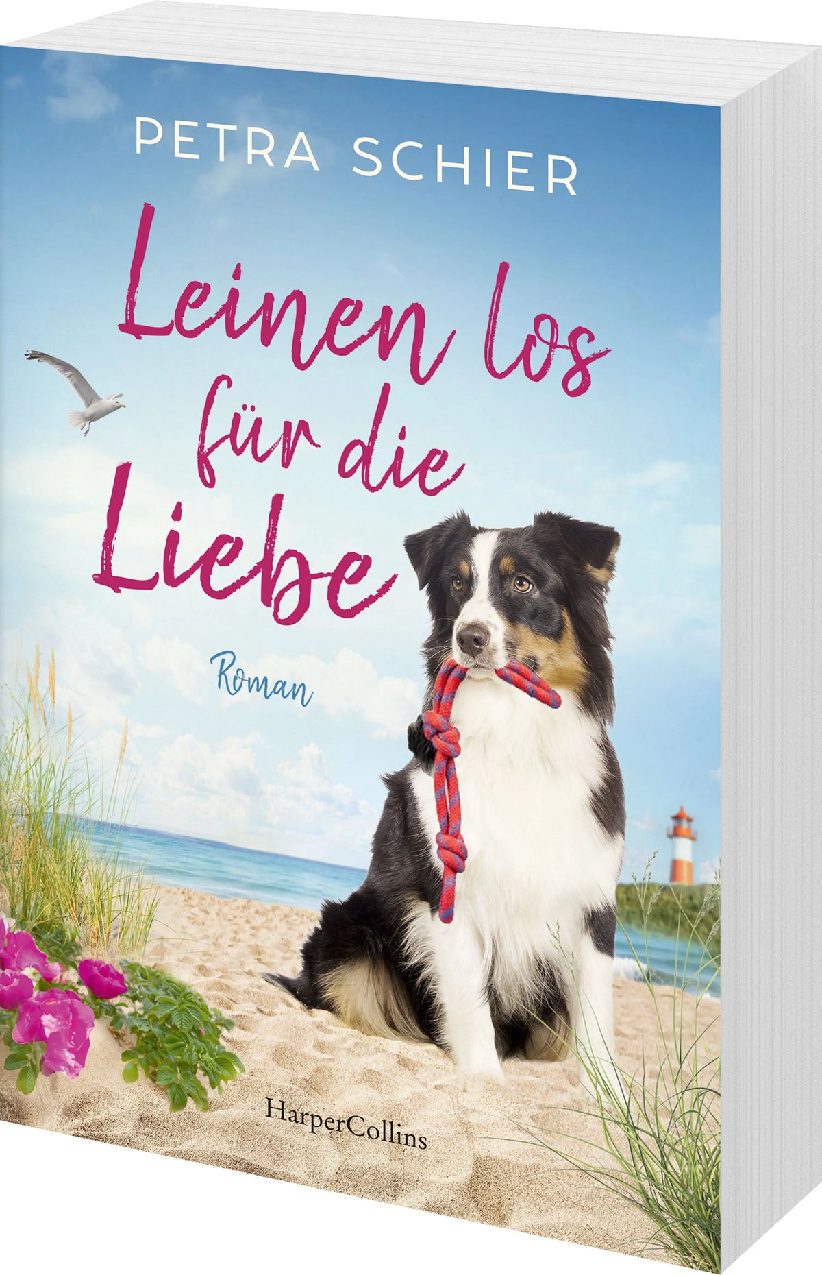 Detailansicht: Leinen los für die Liebe (Taschenbuch)
