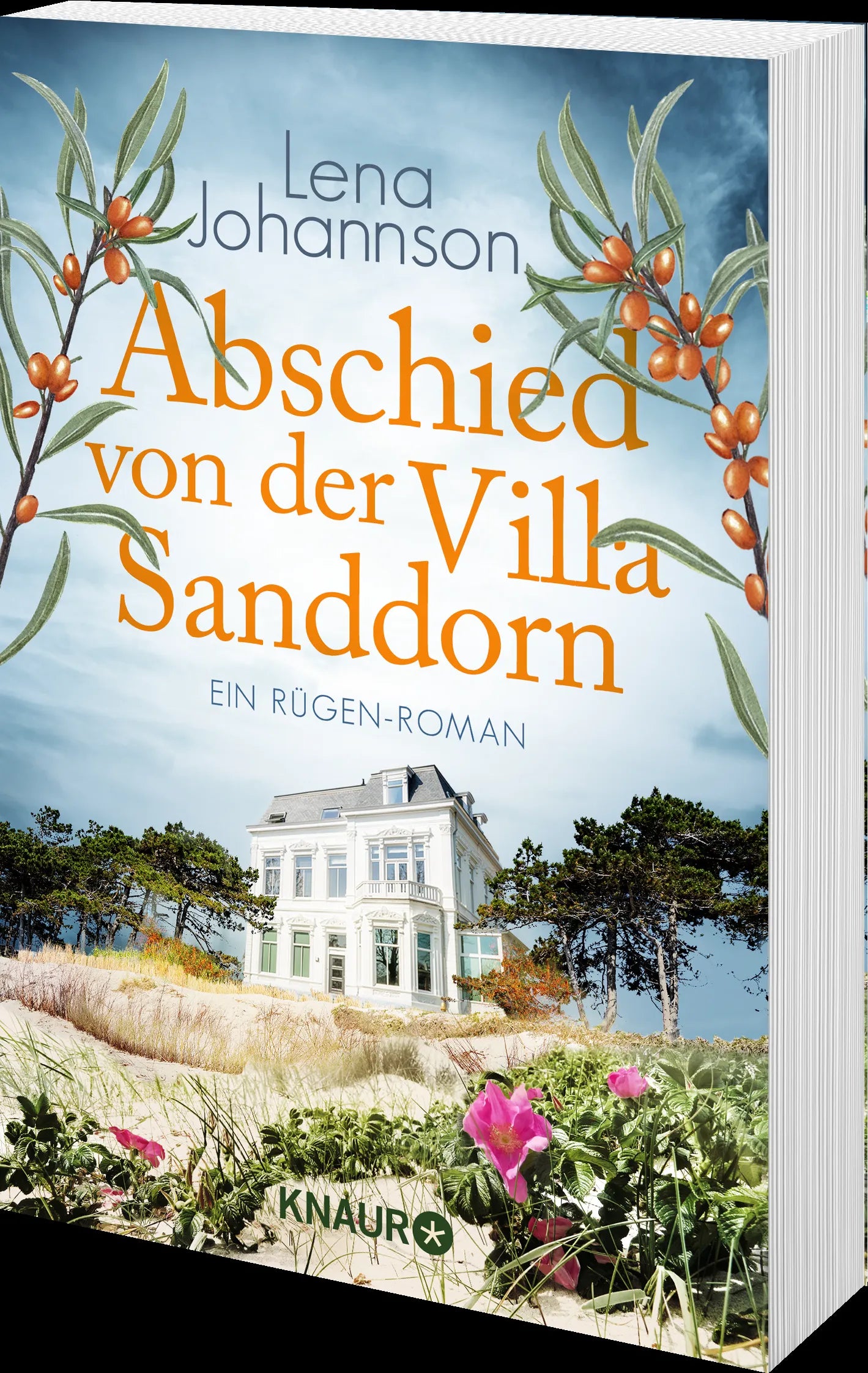 Produktansicht: Abschied von der Villa Sanddorn (Taschenbuch)