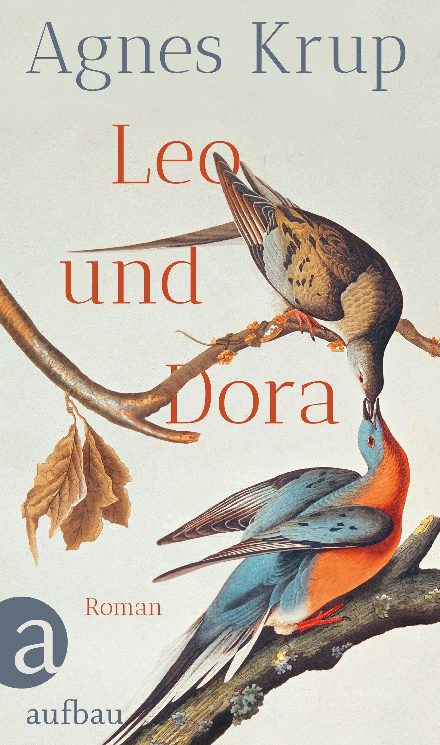 Buchcover von 'Leo und Dora' - Gebundene Ausgabe von Agnes Krup