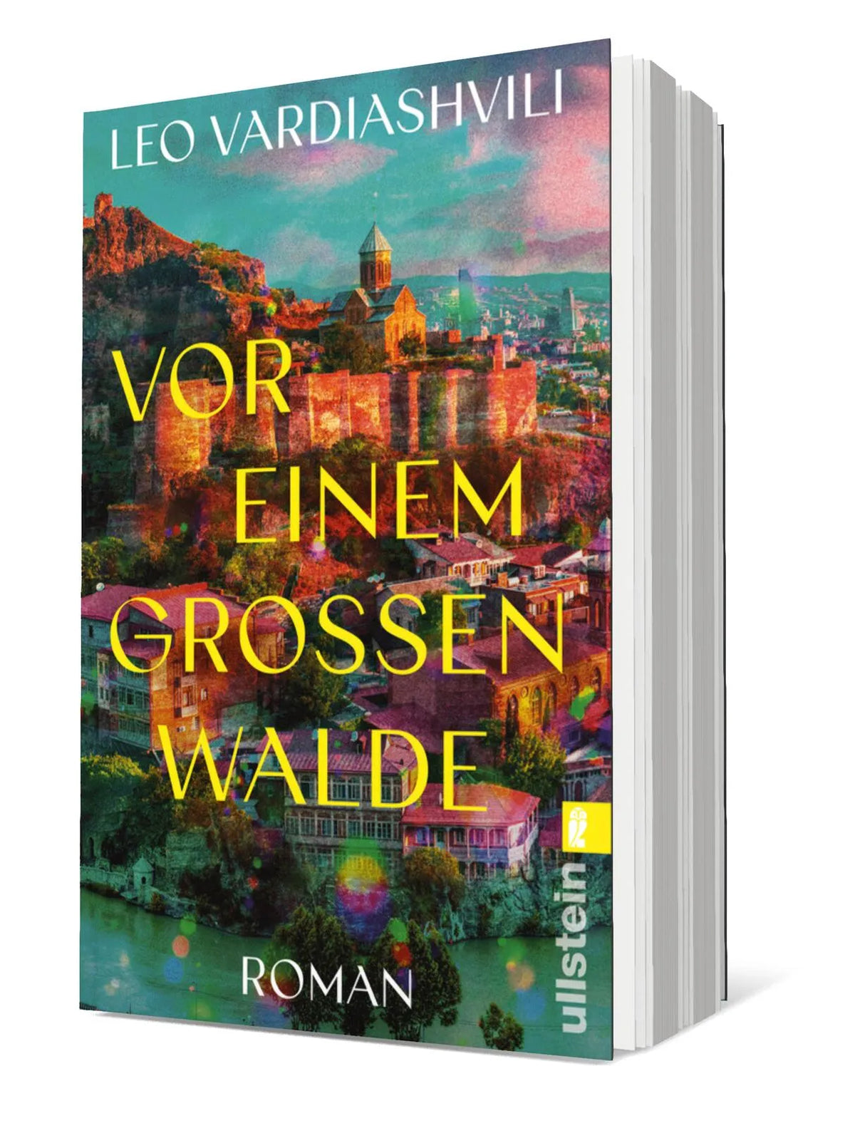 Produktansicht: Vor einem großen Walde (Taschenbuch)