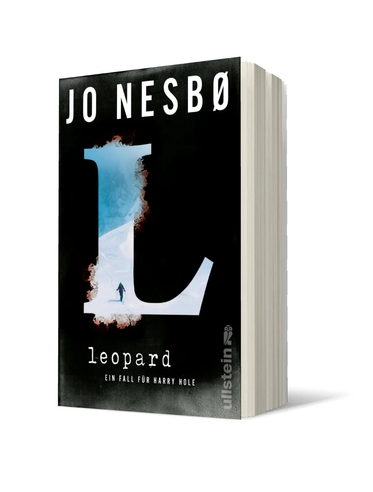 Produktansicht: Leopard (Taschenbuch)