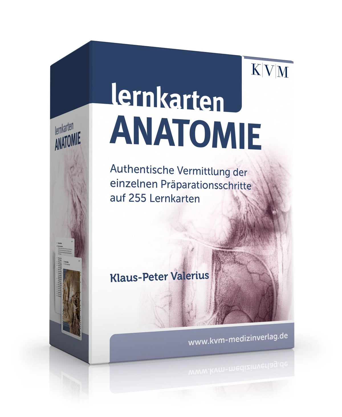 Krimispiel: Lernkarten Anatomie