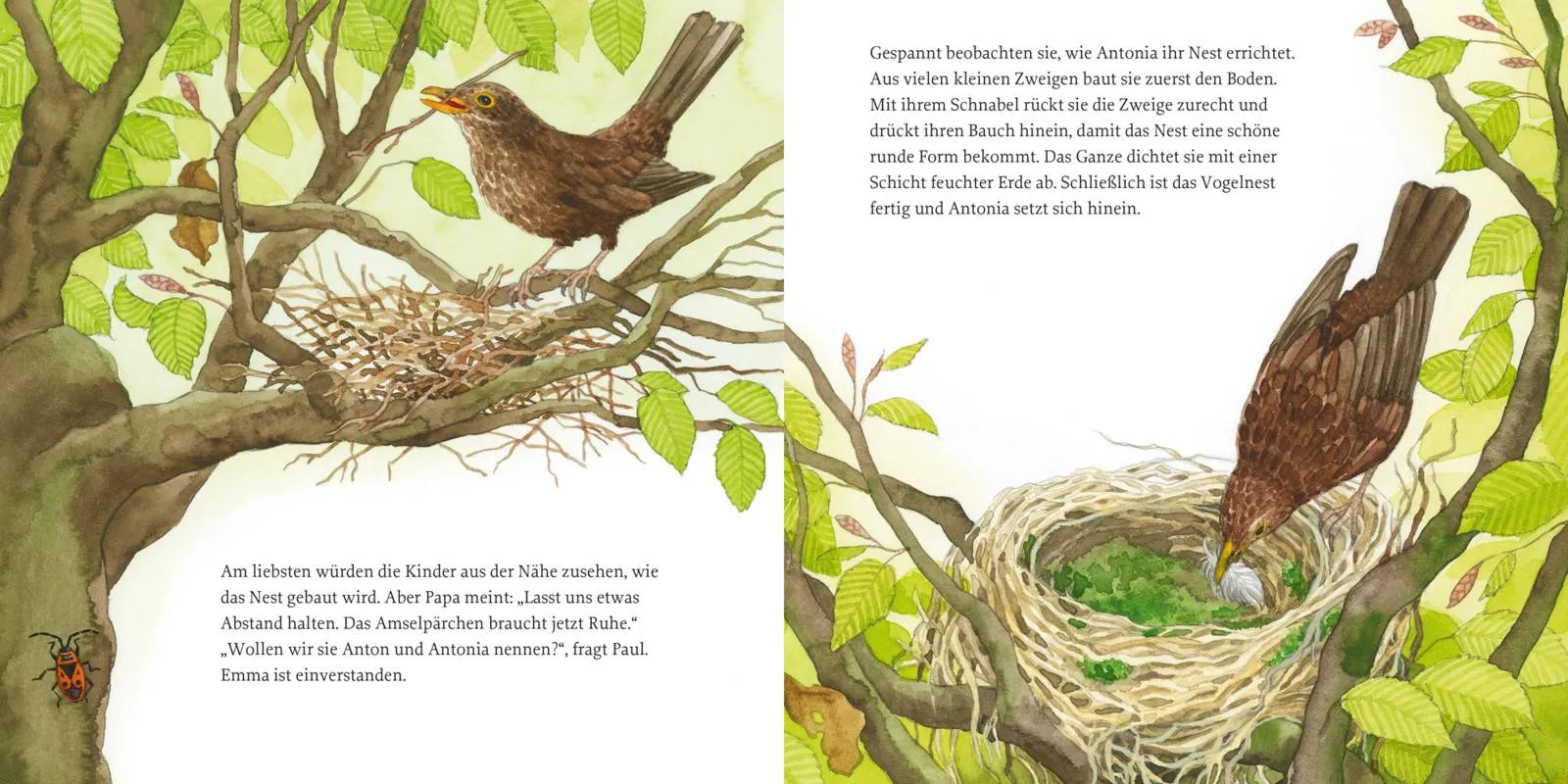 Produktansicht: LESEMAUS 108: Das Vogelnest (Taschenbuch)