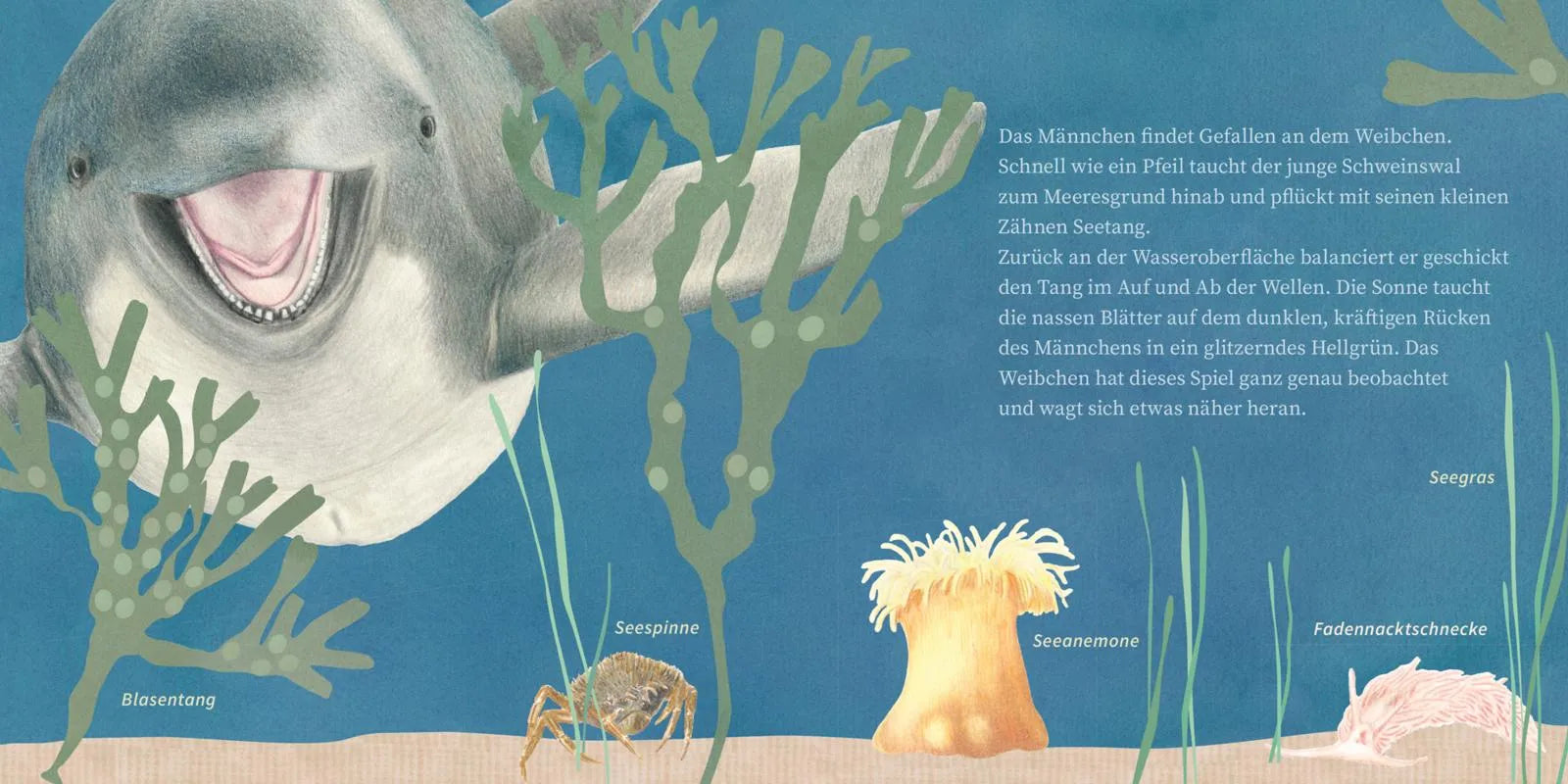 Abbildung von 'LESEMAUS 135: Der kleine Wal und das Meer'