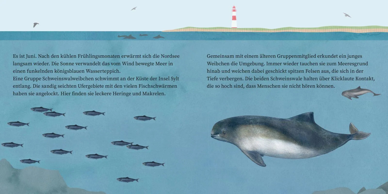 Produktansicht: LESEMAUS 135: Der kleine Wal und das Meer (Taschenbuch)