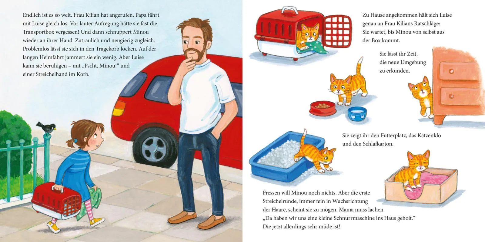 Susa Hämmerle - LESEMAUS 175: Die kleine Katze - alles, was du wissen willst