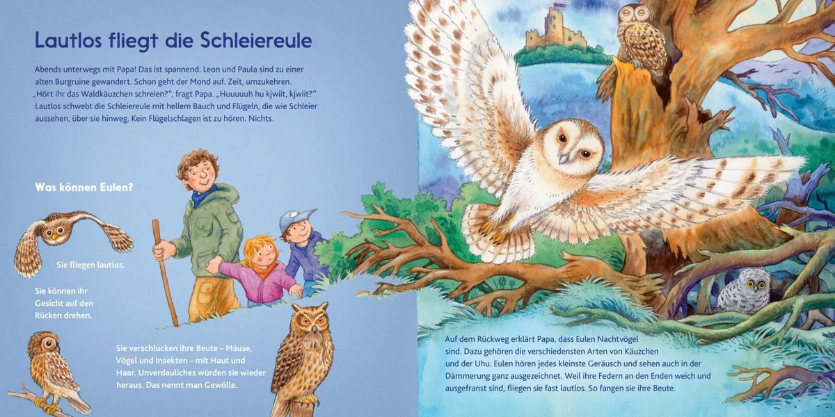 Detailansicht: LESEMAUS 195: Die kleine Meise und andere Vögel bei uns (Taschenbuch)