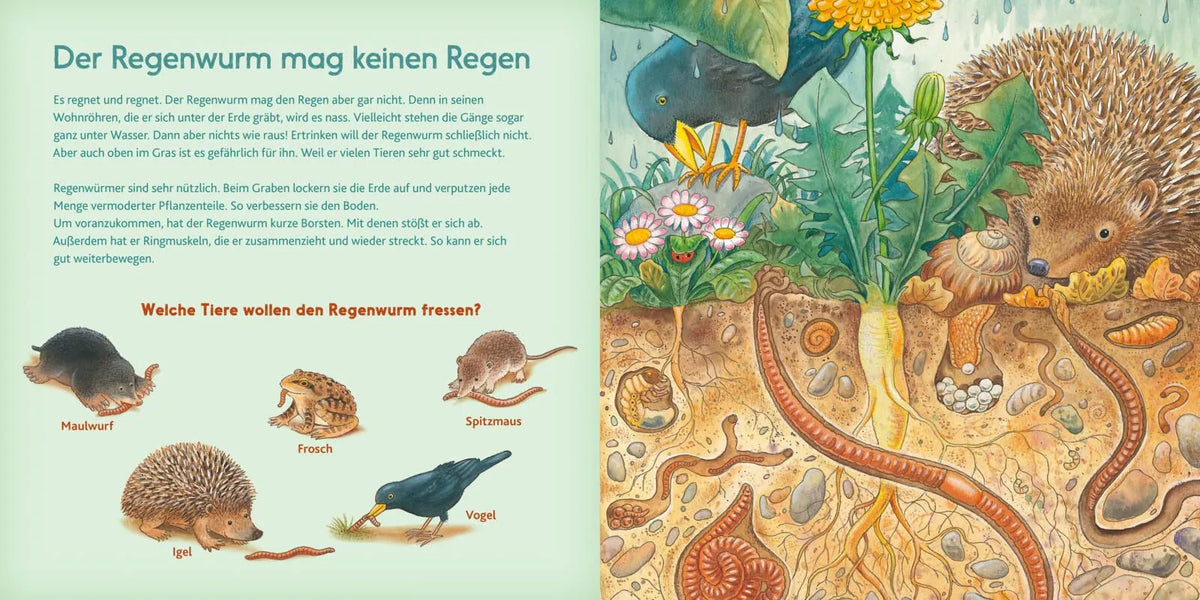 Detailansicht: LESEMAUS 196: Der kleine Marienkäfer und andere Tiere auf der Wiese (Taschenbuch)