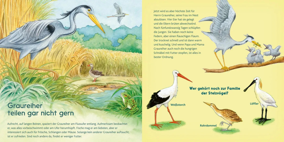 Detailansicht: LESEMAUS 197: Der kleine Biber und andere Tiere am Fluss (Taschenbuch)