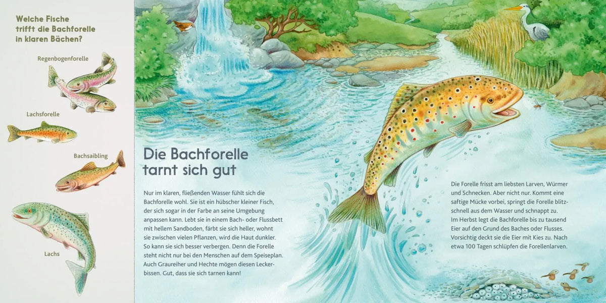 Detailansicht: LESEMAUS 197: Der kleine Biber und andere Tiere am Fluss (Taschenbuch)