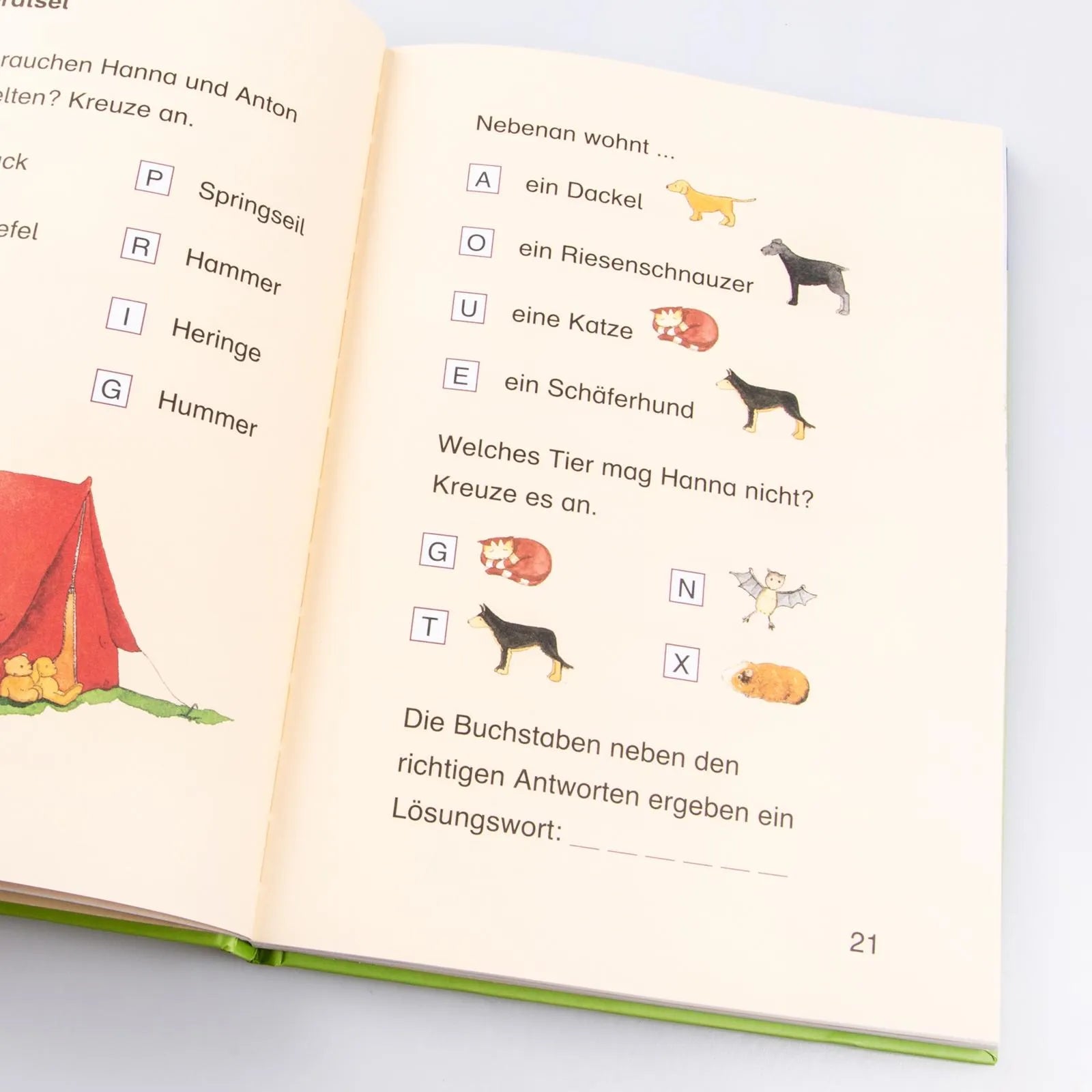Manuela Mechtel - LESEMAUS zum Lesenlernen Sammelbände: Das große Buch zum Lesenlernen