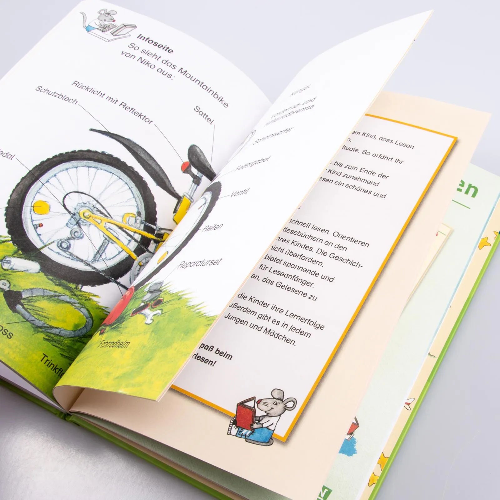 Produktansicht: LESEMAUS zum Lesenlernen Sammelbände: Das große Buch zum Lesenlernen (Gebundene Ausgabe)