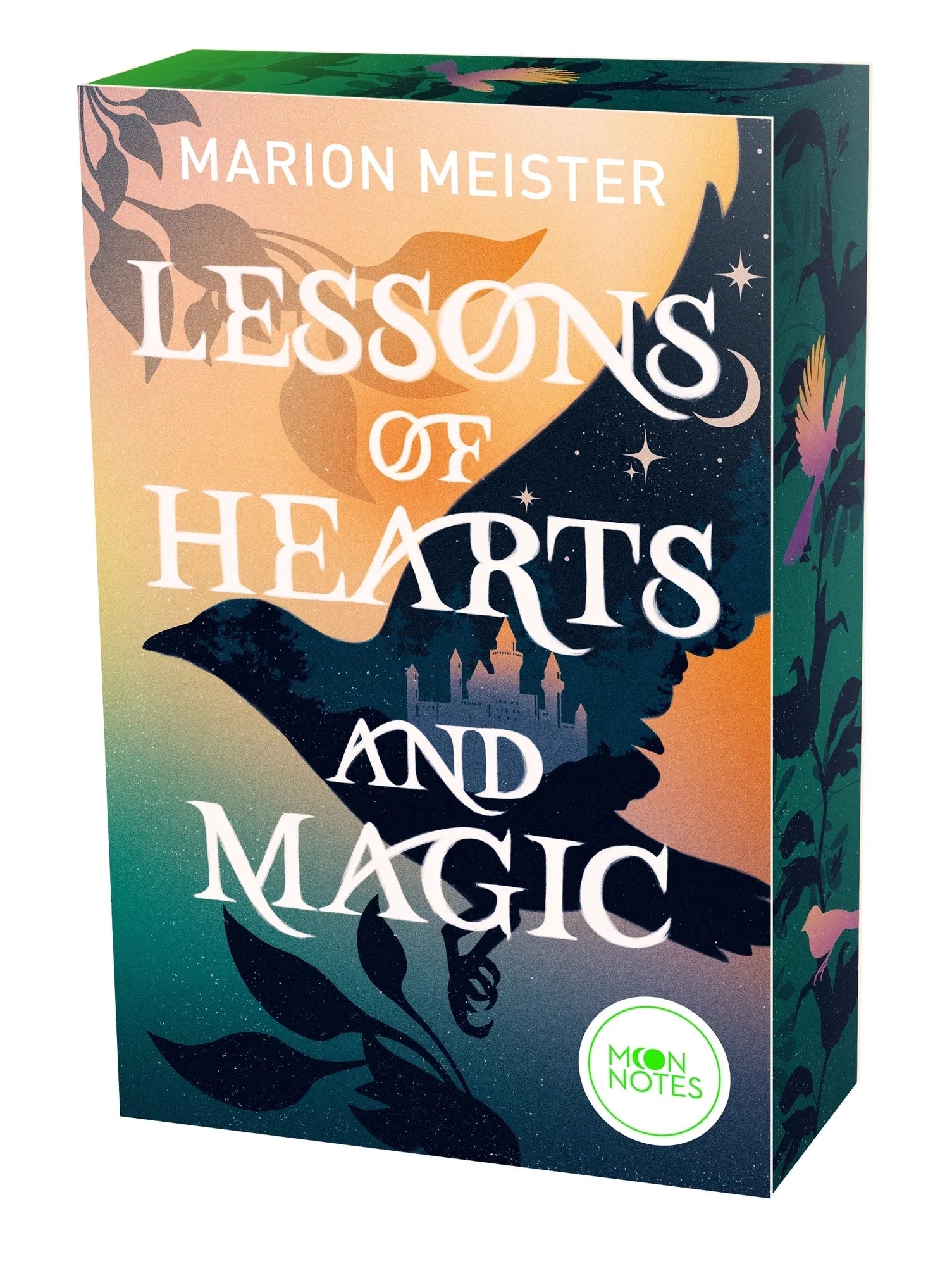 Buchcover von 'Lessons of Hearts and Magic' - Paperback von Marion Meister