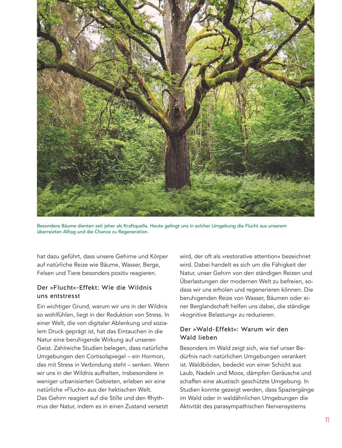 Abbildung von 'Let's go wild!'