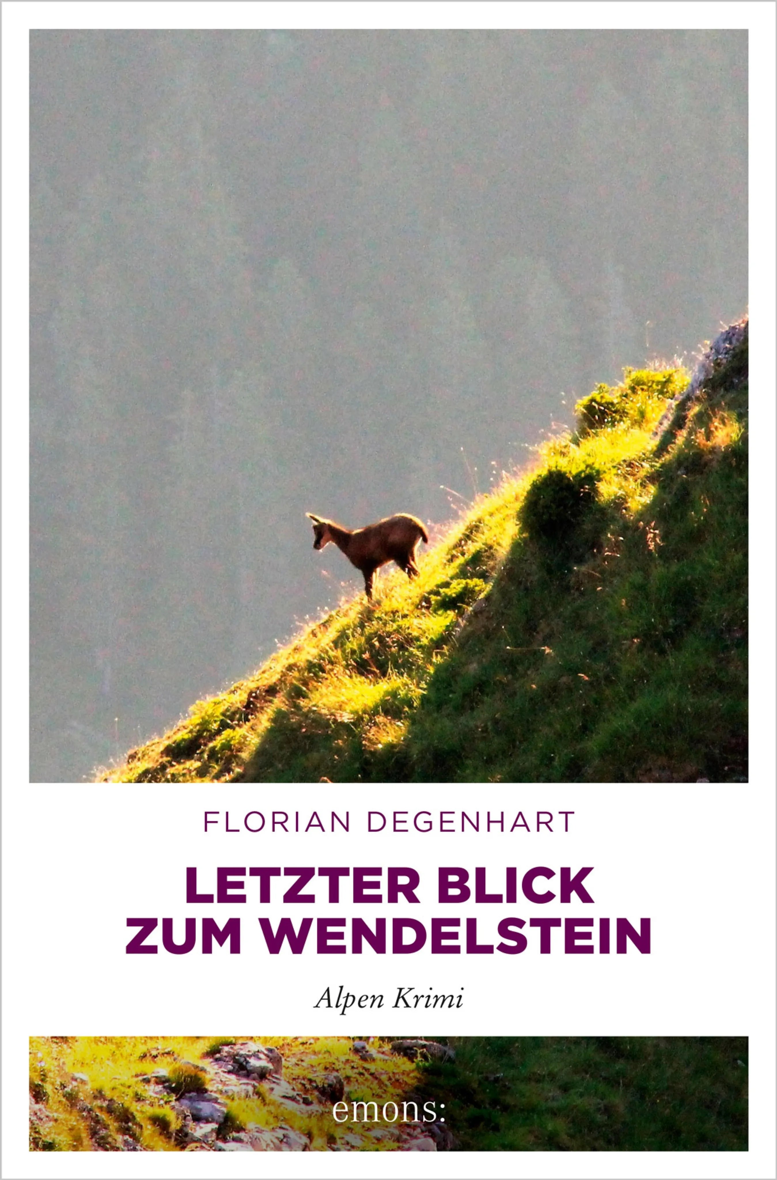 Cover: Letzter Blick zum Wendelstein (E-Book) von Florian Degenhart