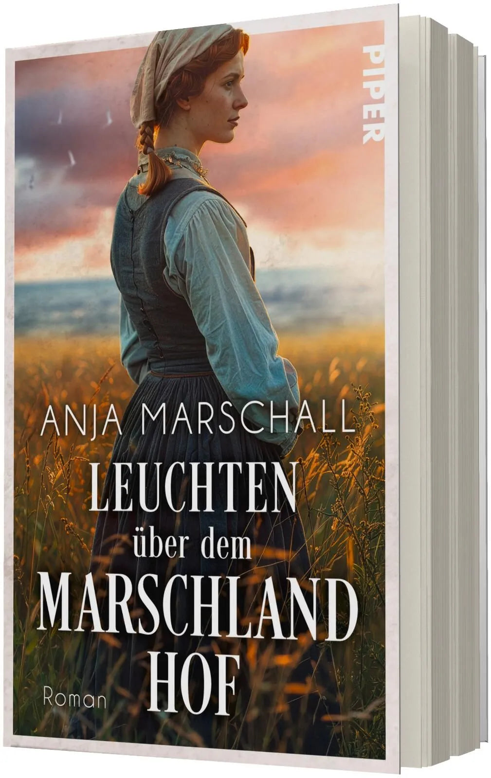 Detailansicht: Leuchten über dem Marschlandhof (Taschenbuch)