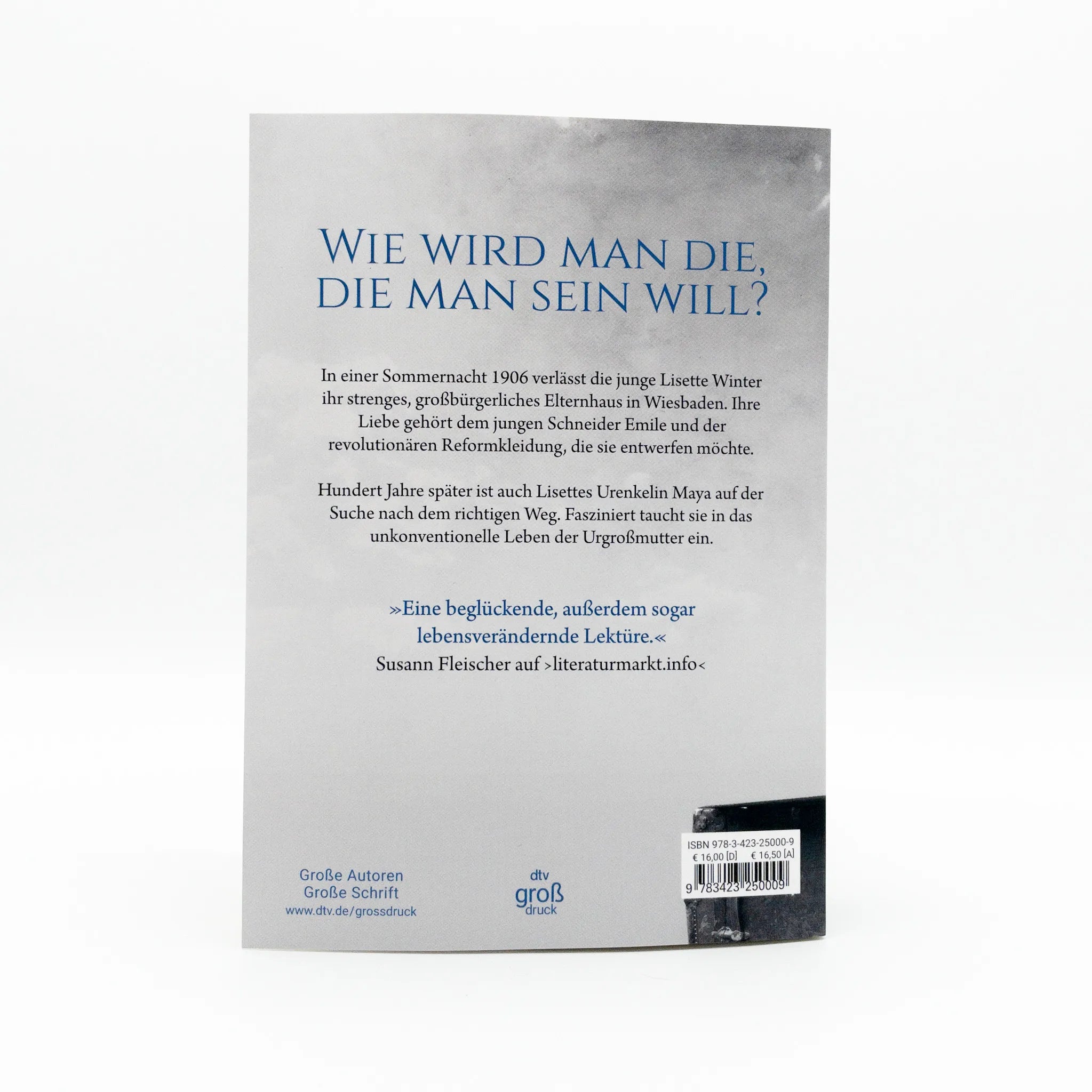 Produktansicht: Leuchtende Tage (Taschenbuch)