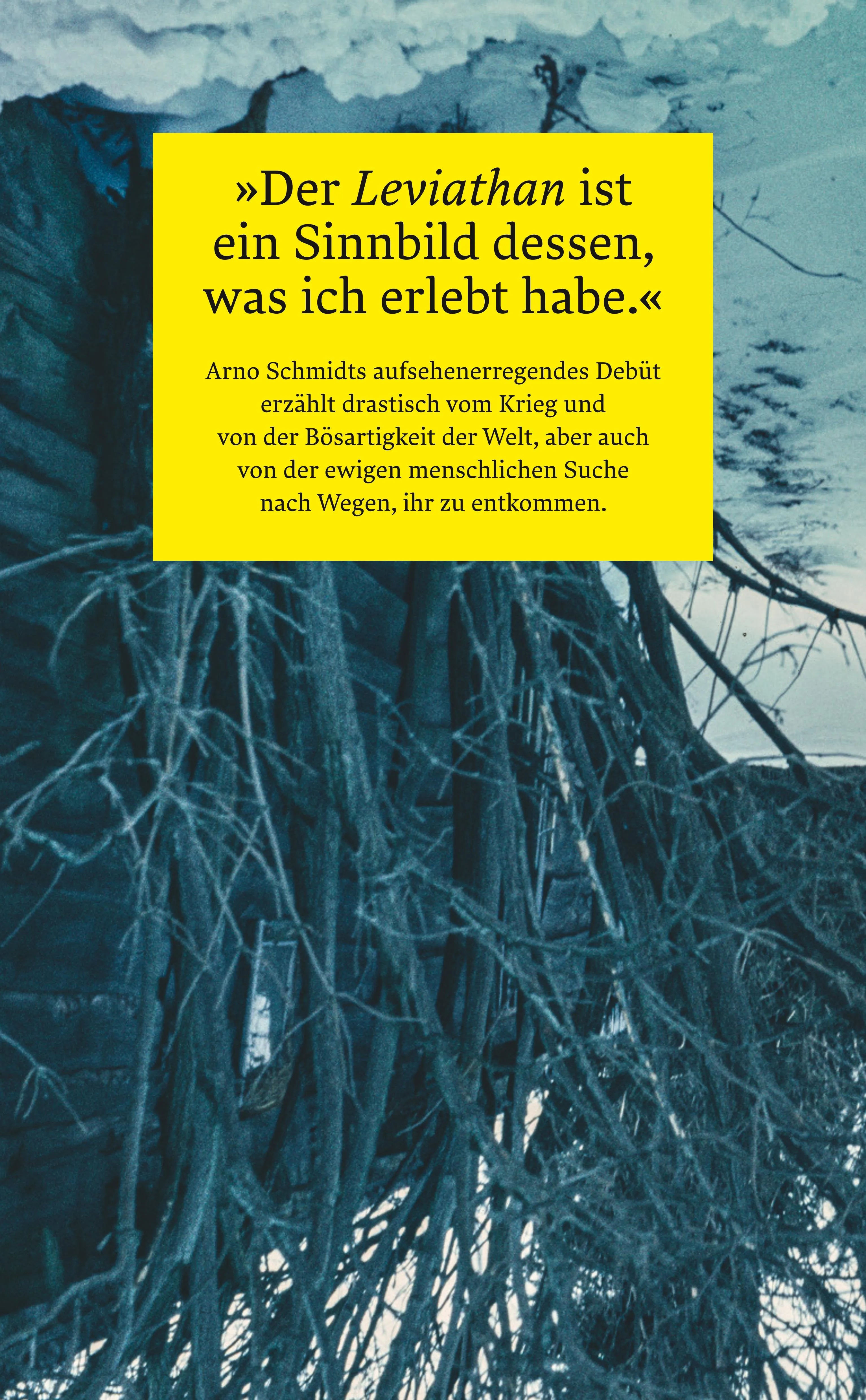 Buchrückseite von 'Leviathan oder Die Beste der Welten. Gadir oder Erkenne dich selbst. Enthymesis oder W.I.E.H.' mit Klappentext - Taschenbuch