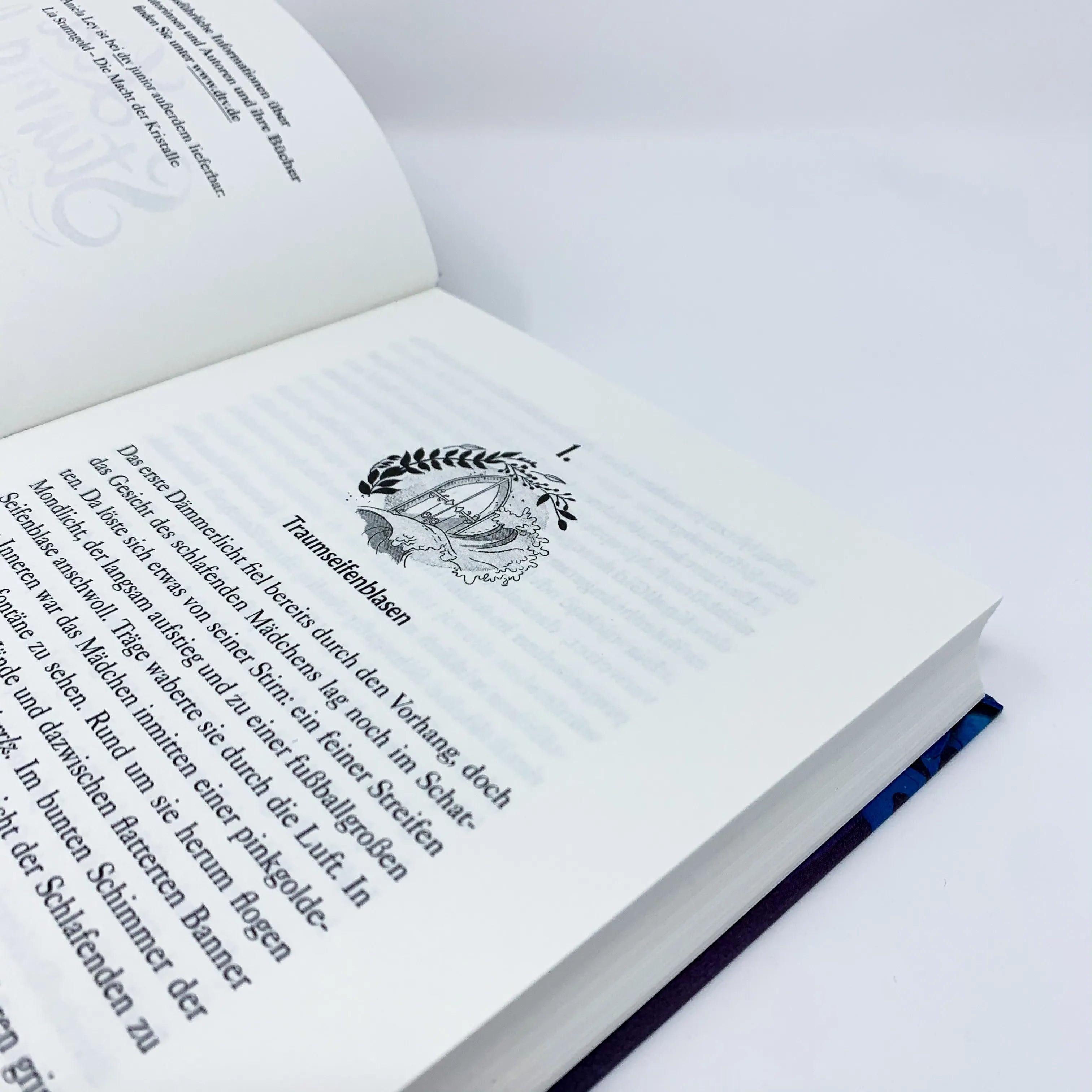 Produktansicht: Lia Sturmgold – Das Geheimnis der Meereselfe (Gebundene Ausgabe)