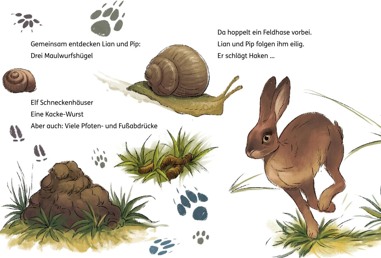 Simone Veenstra - Lian, die Tierdetektivin 2: Wo ist Blob?
