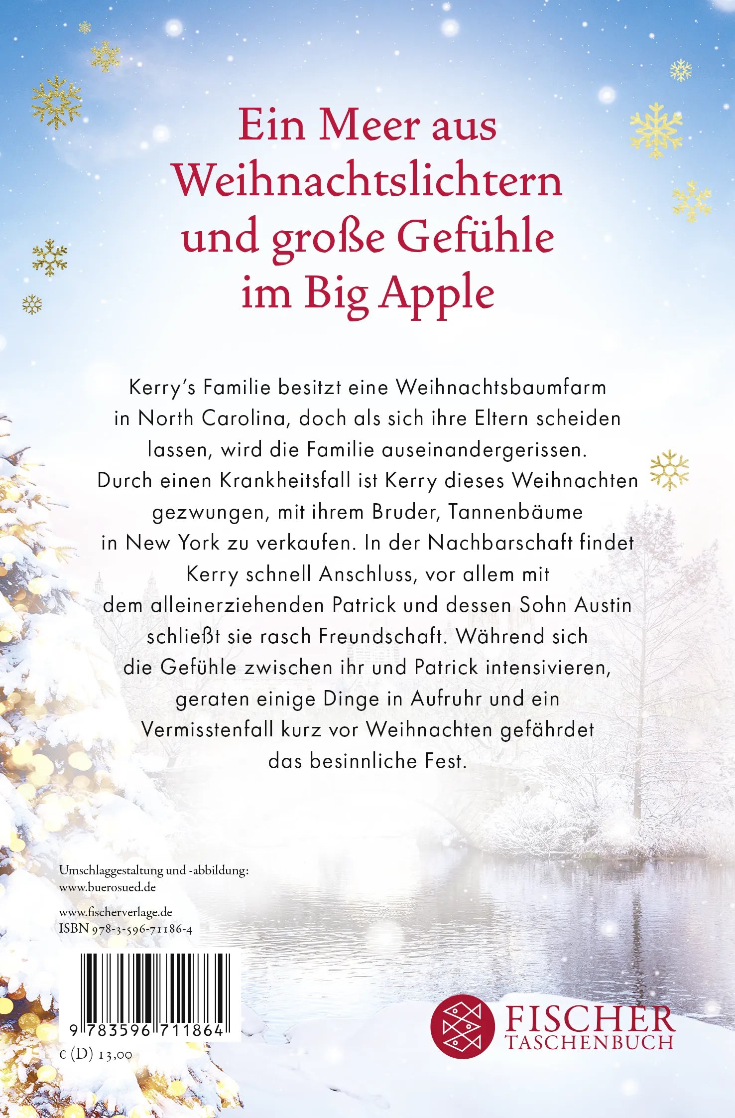 Buchrückseite von 'Lichterzauber in New York' mit Klappentext - Taschenbuch