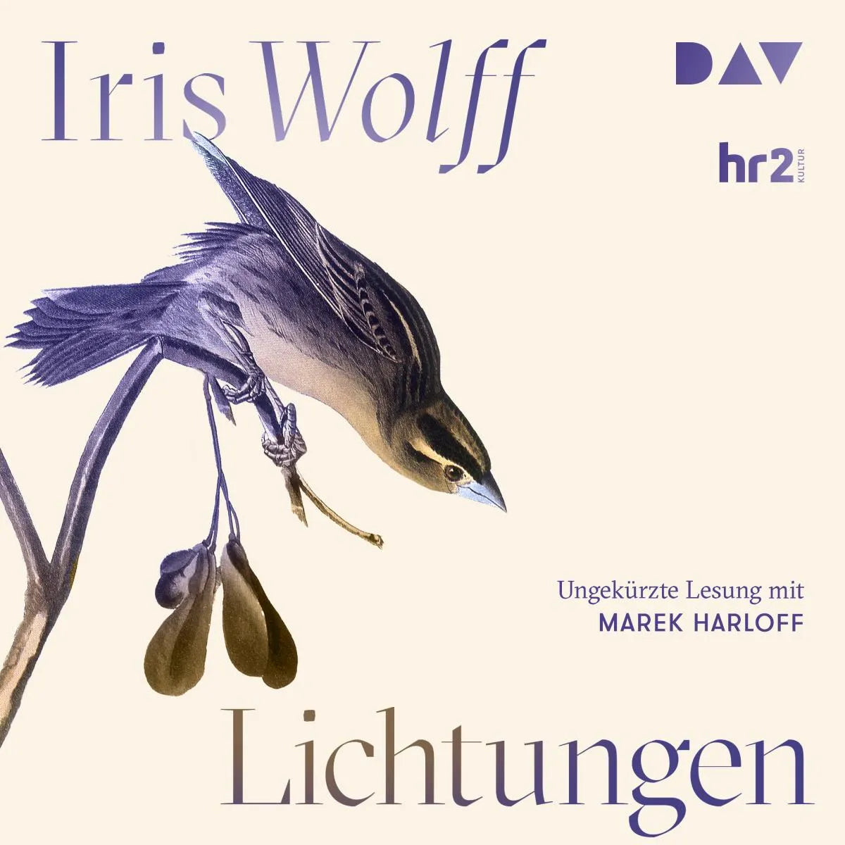 Cover: Lichtungen (Hörbuch Download) von Iris Wolff