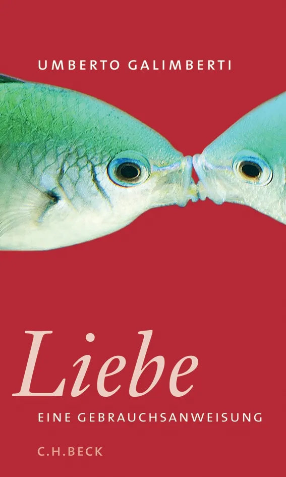 Buchcover von 'Liebe. Eine Gebrauchsanweisung' - Gebundene Ausgabe von Umberto Galimberti