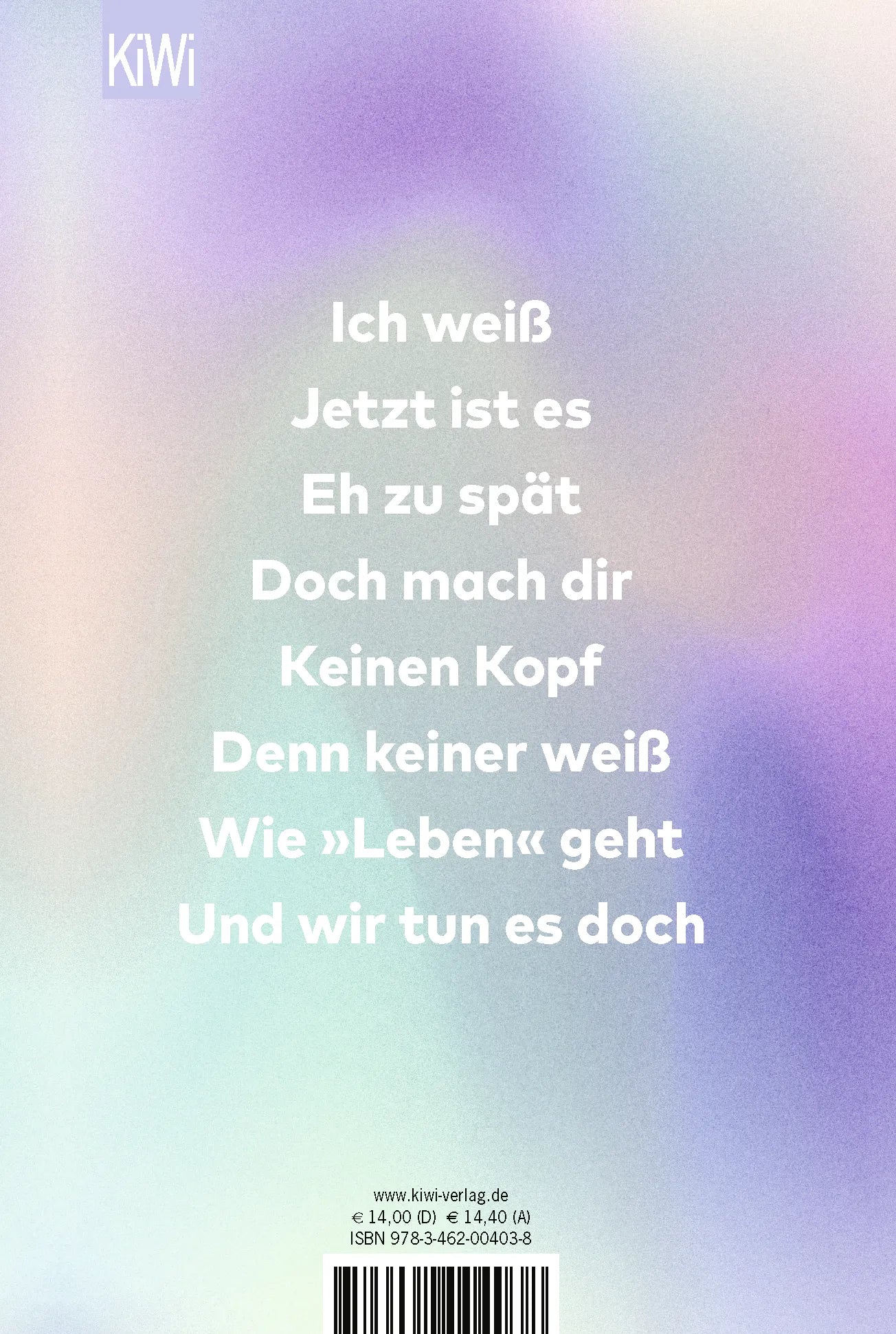 Buchrückseite von 'Liebe in Zeiten der Follower' mit Klappentext - Gebundene Ausgabe