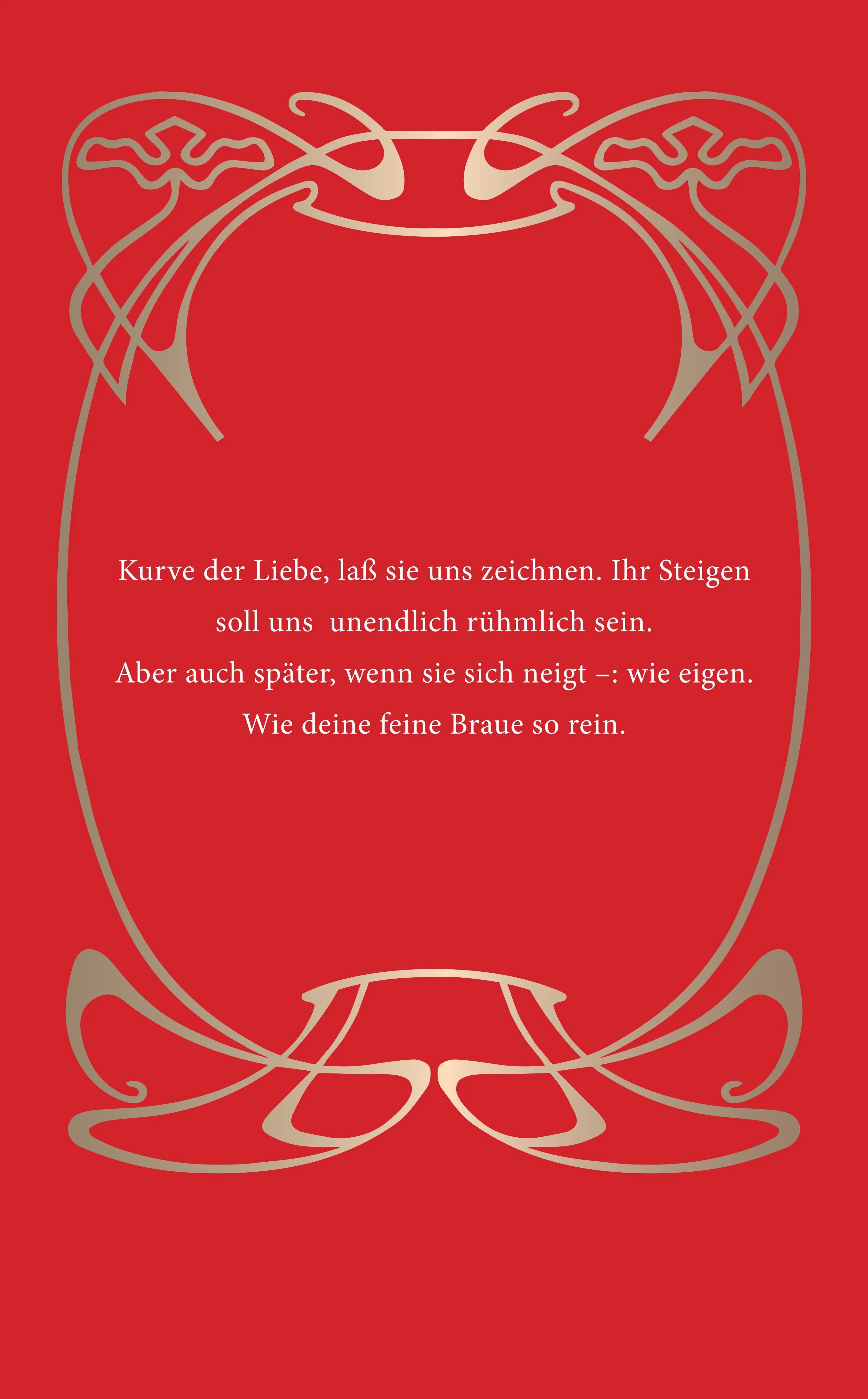 Buchrückseite von 'Liebe' mit Klappentext - Taschenbuch