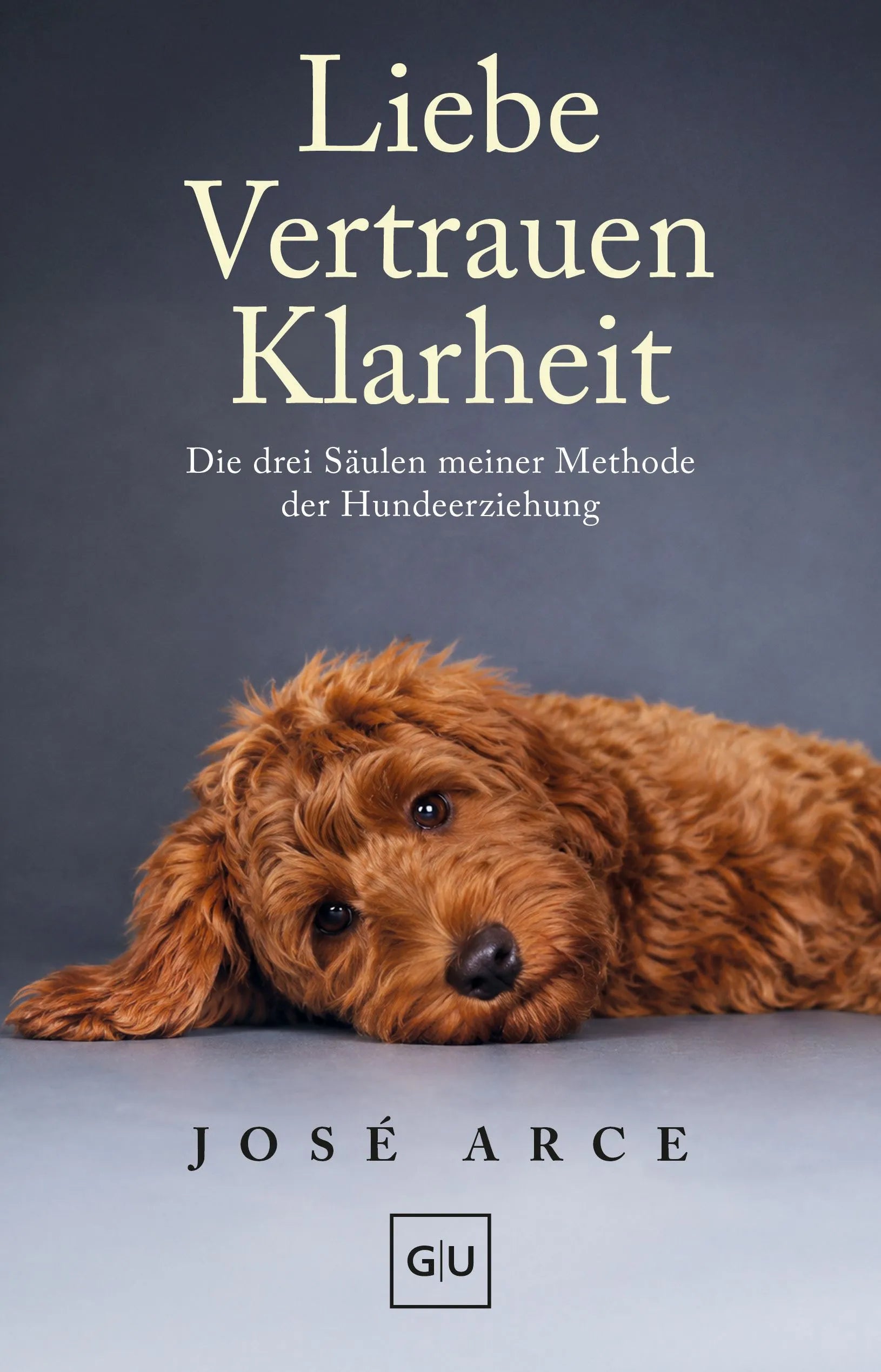 Cover: Liebe Vertrauen Klarheit (Hardcover) von José Arce