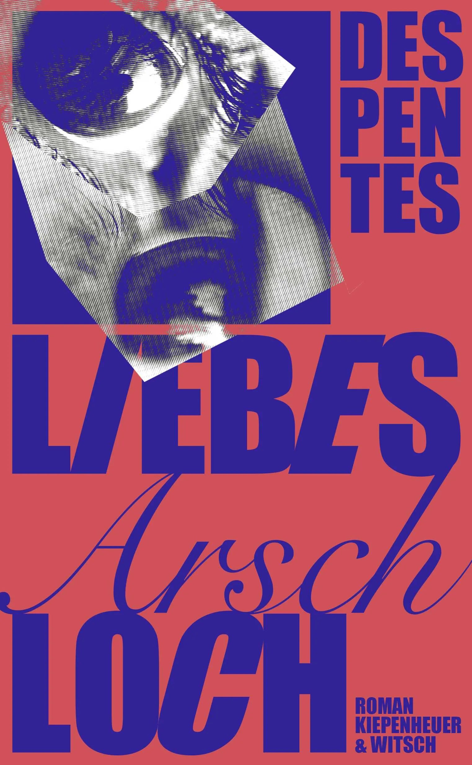 Buchcover von 'Liebes Arschloch' - Gebundene Ausgabe von Virginie Despentes