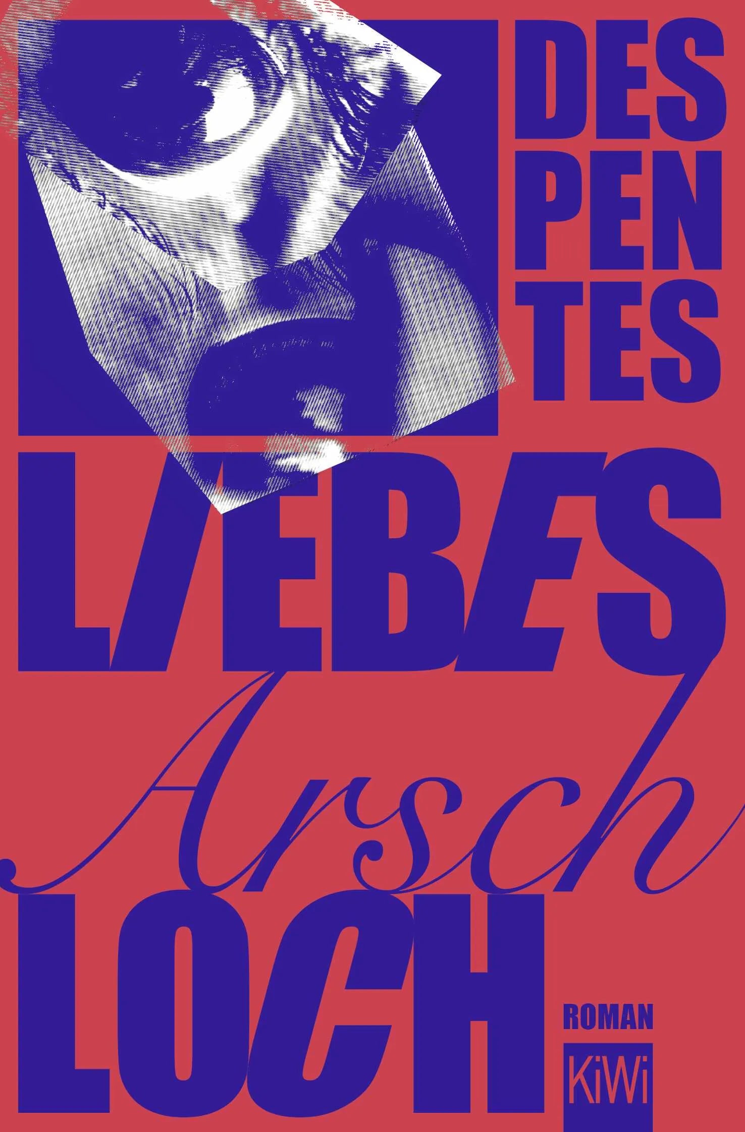 Buchcover von 'Liebes Arschloch' - Taschenbuch von Virginie Despentes