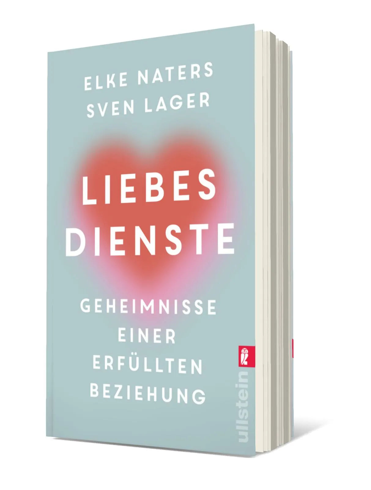 Produktansicht: Liebesdienste (Taschenbuch)