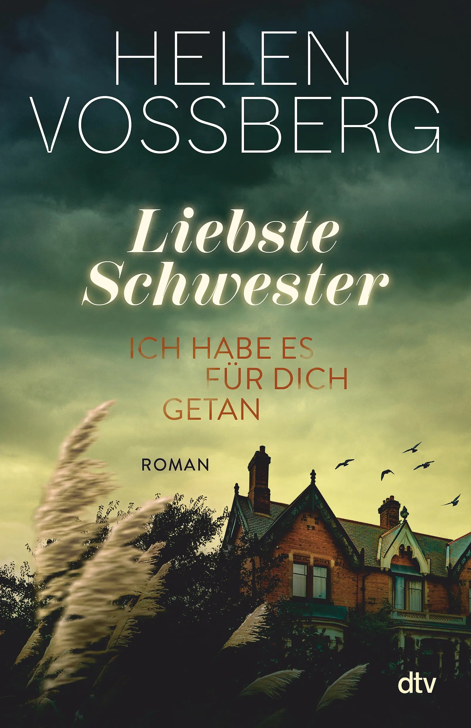 Buchcover von 'Liebste Schwester' - Paperback von Helen Vossberg