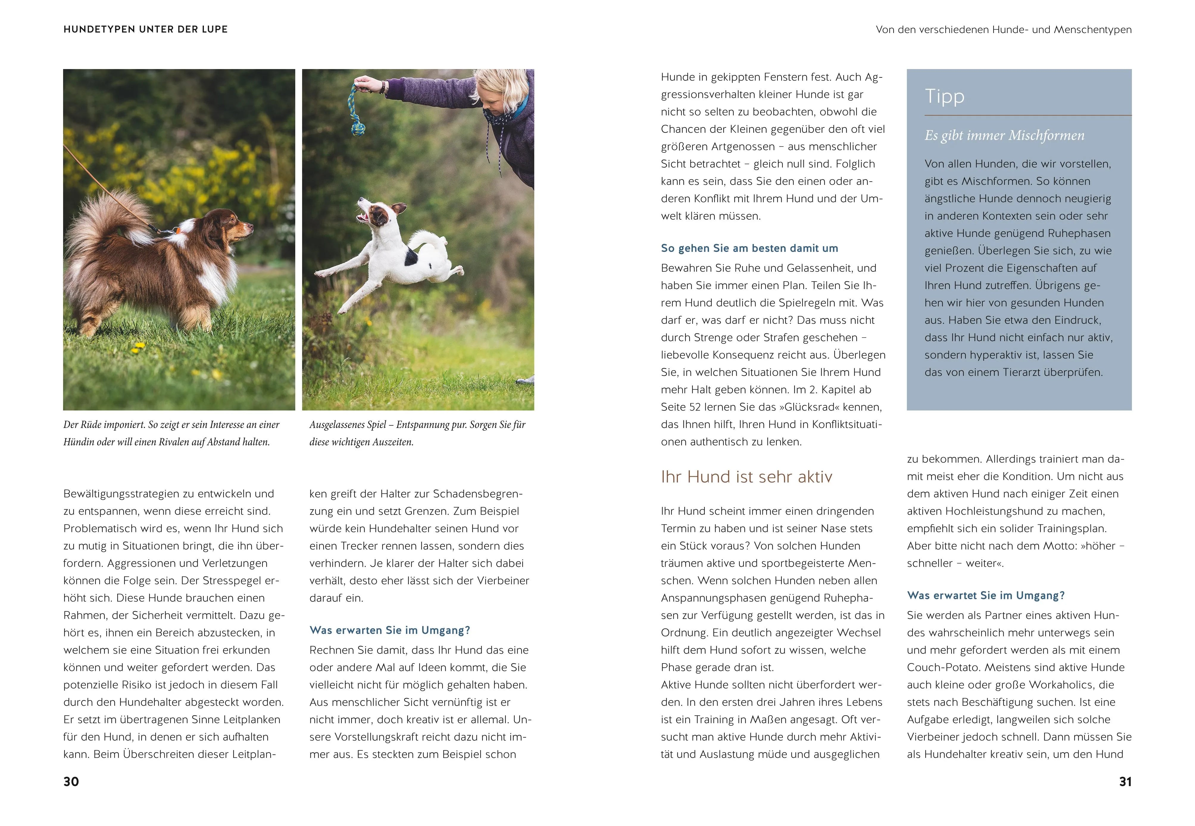 Kristina Ziemer-Falke - Life-Dog-Balance