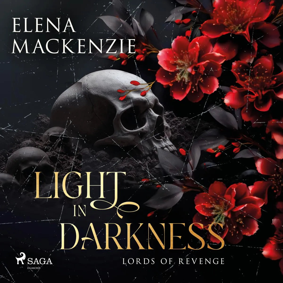 Cover: Light in Darkness (Hörbuch Download) von Elena MacKenzie