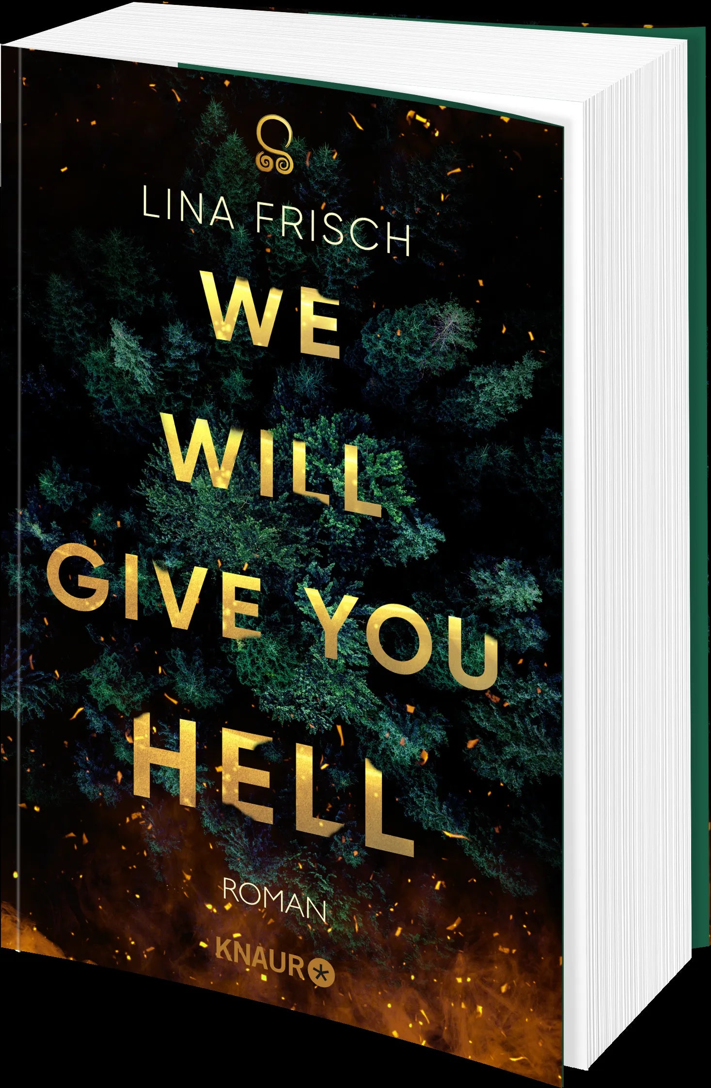 Produktansicht: We Will Give You Hell (Paperback)