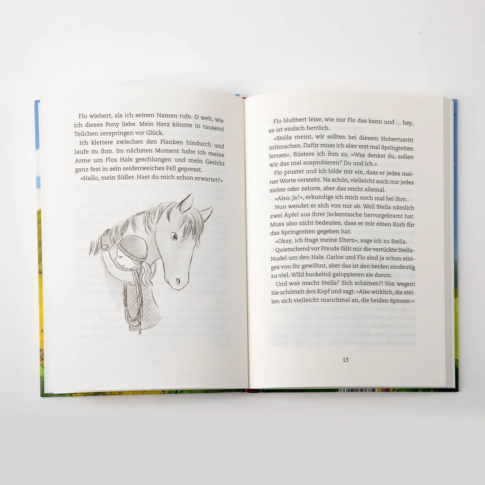 Detailansicht: Lina und das große Wettreiten (Hardcover)