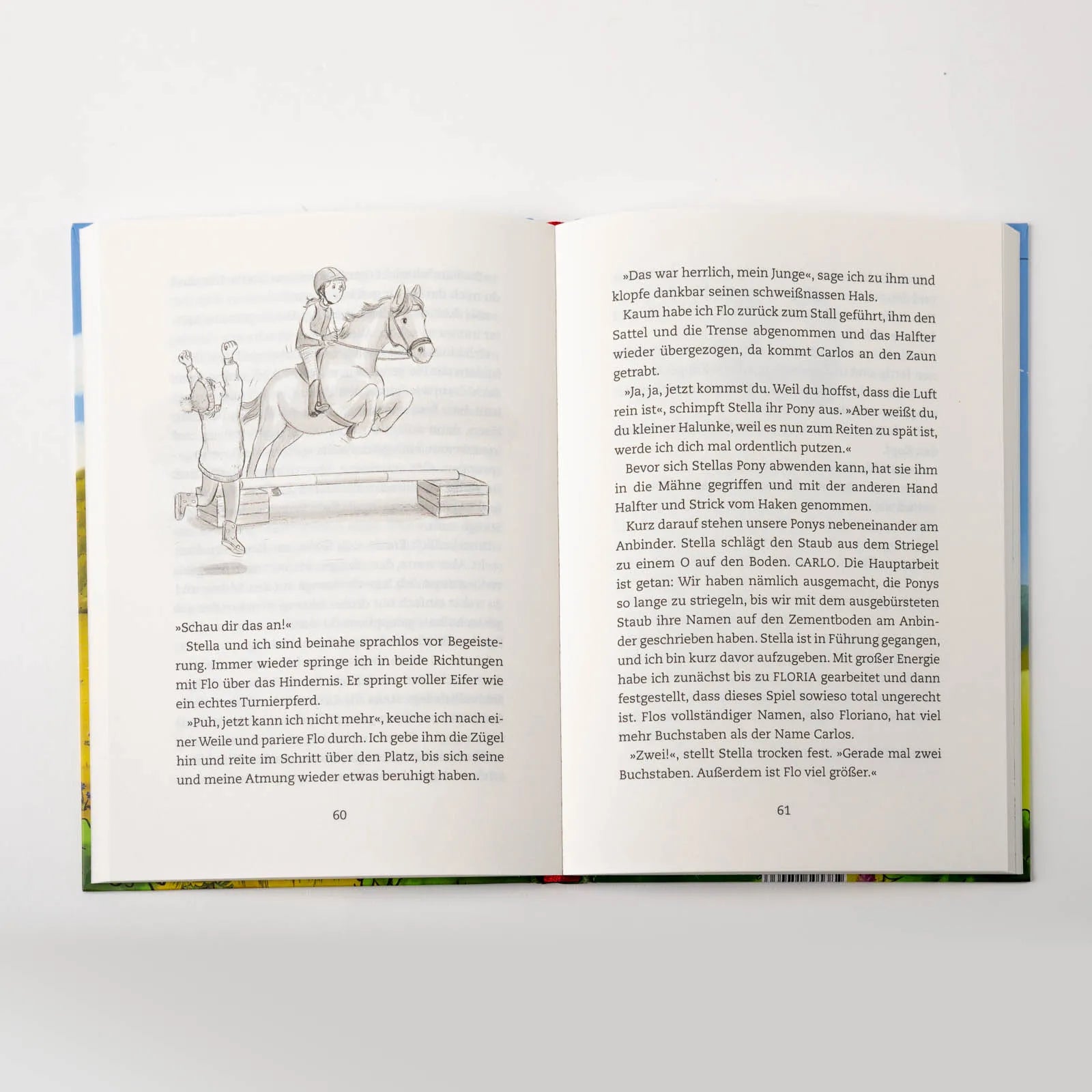 Detailansicht: Lina und das große Wettreiten (Hardcover)