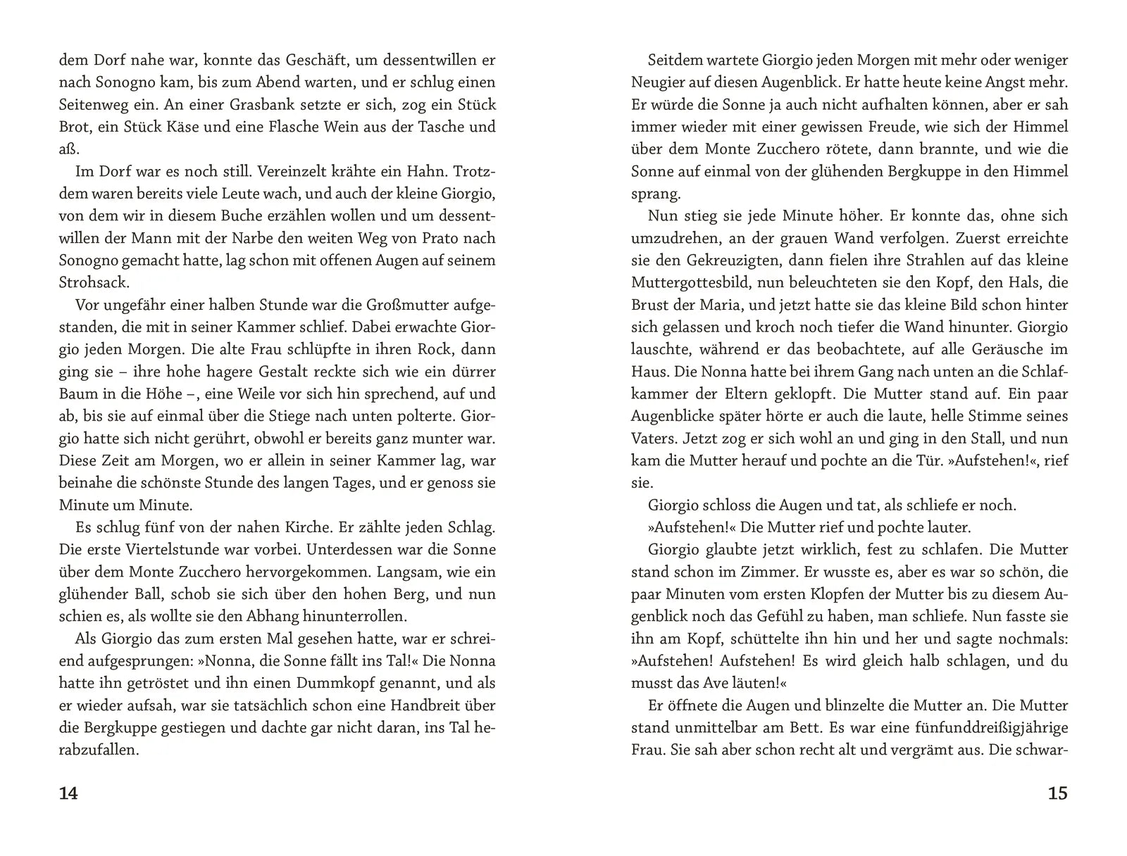 Produktansicht: Die Schwarzen Brüder (Taschenbuch)
